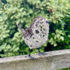 Wire Wren
