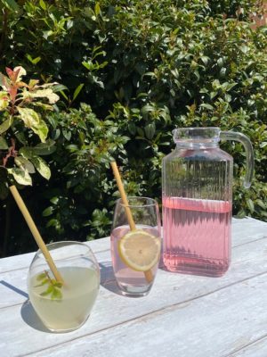eco straws