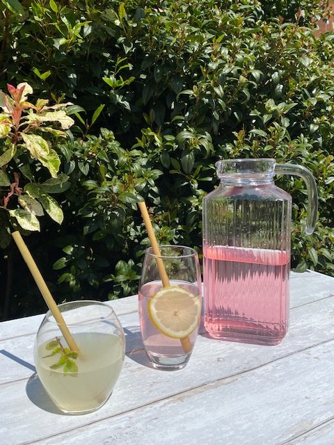 eco straws