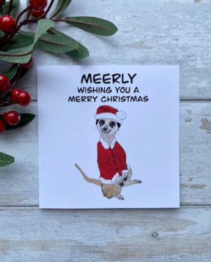 Meerly wishing you a Merry Christmas