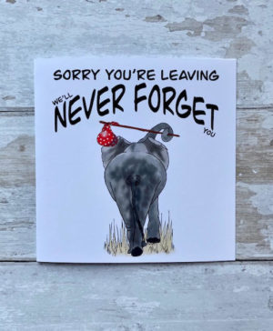 Sorry you're leaving