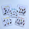 bird coasters