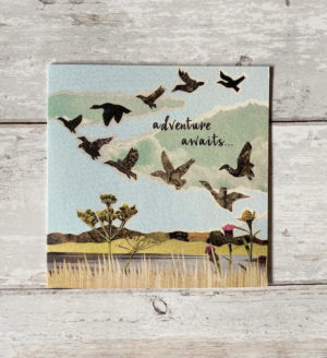 'Adventure awaits'
